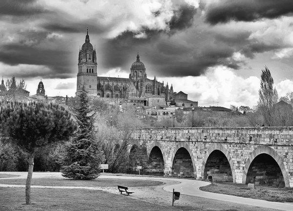 Vista de la Catedral —  Fotos de Stock