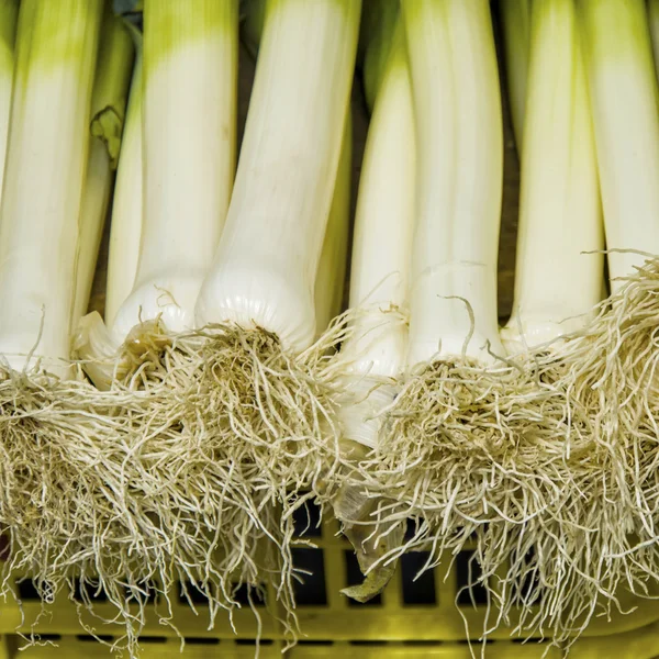 Alhos-porros para venda — Fotografia de Stock