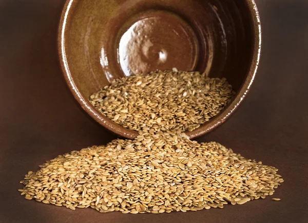 Dry Flax seed — Stock Photo, Image