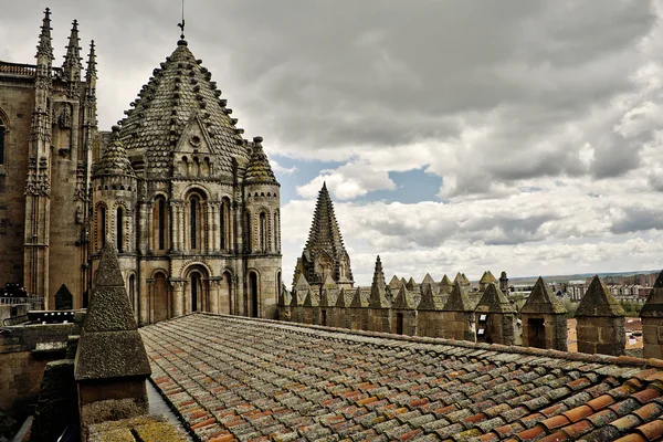 Cathedral in Salamanca — Stock Photo, Image