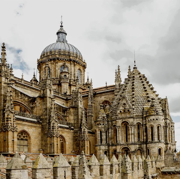 Catedral de Salamanca Imágenes De Stock Sin Royalties Gratis