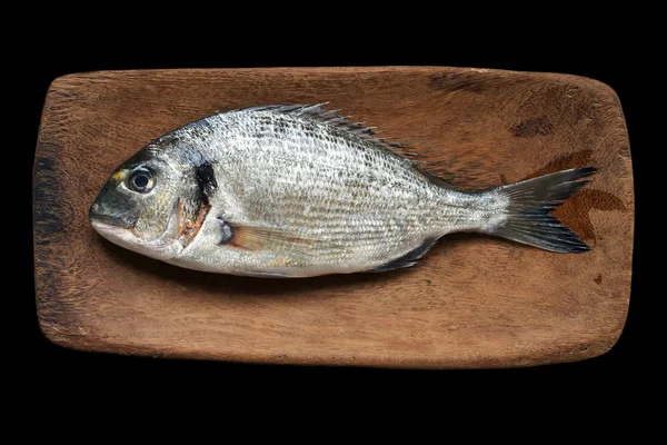 Gilthead on board — Stock Photo, Image