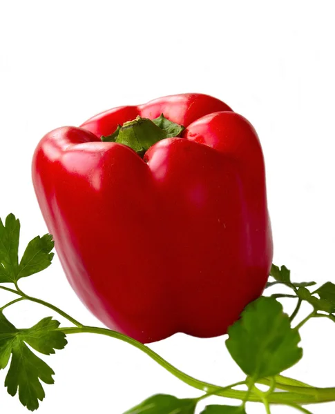 Pimiento rojo y perejil — Foto de Stock