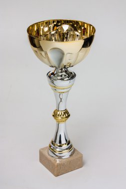 güzel spor Ödülü