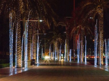 Dubai 'deki cadde manzarası