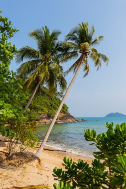 Güzel tropik ada Koh Chang