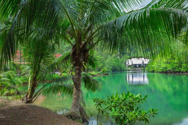 Beautiful tropical island Koh Chang clipart