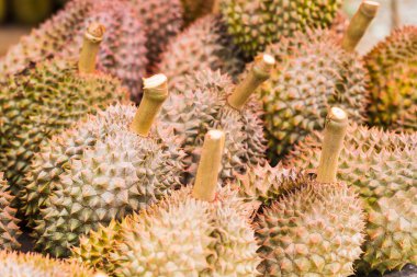 Durians, Tayland ünlü meyve