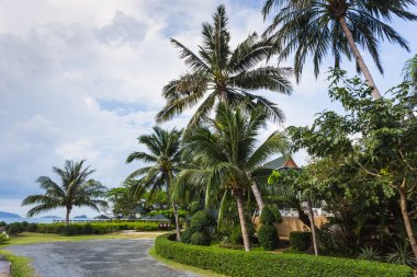 Güzel tropik ada Koh Chang
