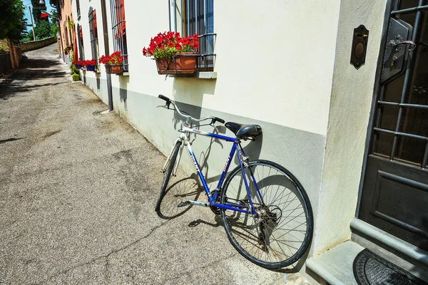 Bike loaded with flowers standing in front of an old door — Stock Photo, Image