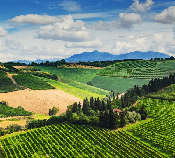 Paisaje de provincia de Toscana — Foto de Stock