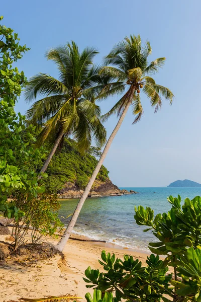 Beautiful tropical island Koh Chang — Stock Photo, Image