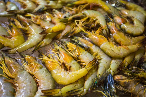 Camarões frescos no mercado de frutos do mar — Fotografia de Stock