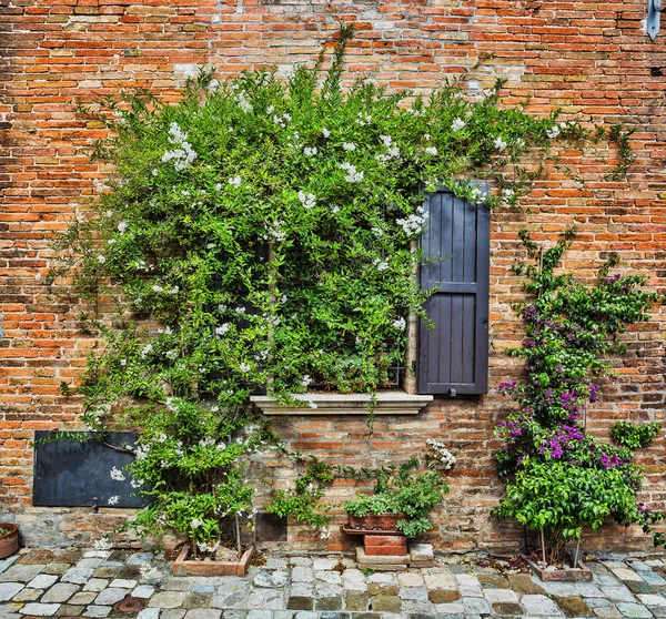 Window in old house — Stock Photo, Image