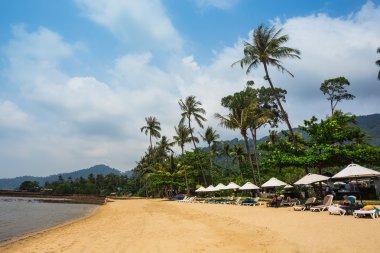 Güzel tropikal plaj