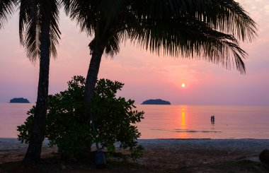 tropik sahilde günbatımı