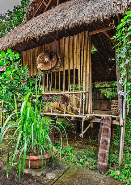 Hut on road in jungle — Stock Photo, Image