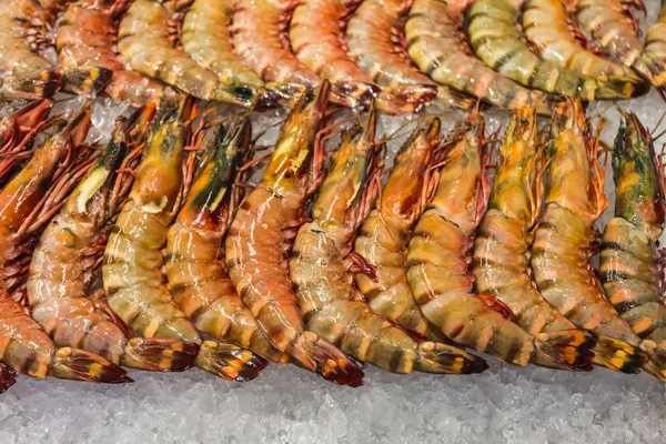 Fresh shrimps at seafood market — Stock Photo, Image
