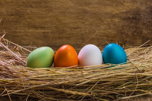 Nido con huevos de Pascua — Foto de Stock