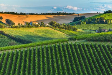 İtalya kırsal manzara