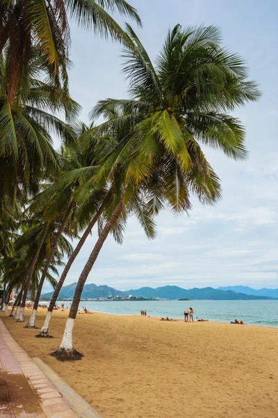Palmové stromy na břehu moře — Stock fotografie