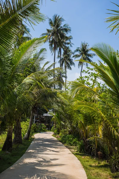 Hermosa playa tropical — Foto de Stock