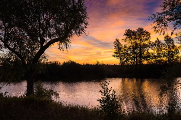 Landskap Solnedgång Med Grumlig Orange Himlen Och Silhuett Träd — Stockfoto