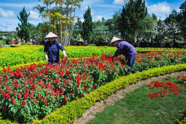 Da Lat Çiçek Bahçesi 