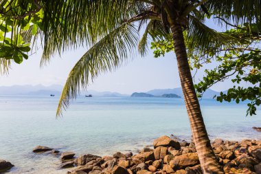 Güzel tropik ada Koh Chang 