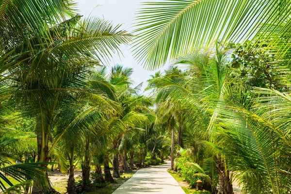 Hermosa isla tropical Koh Chang — Foto de Stock