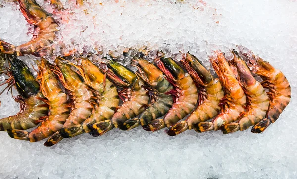 Fresh shrimps at seafood market — Stock Photo, Image