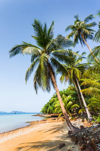 Belle île tropicale Koh Chang — Photo