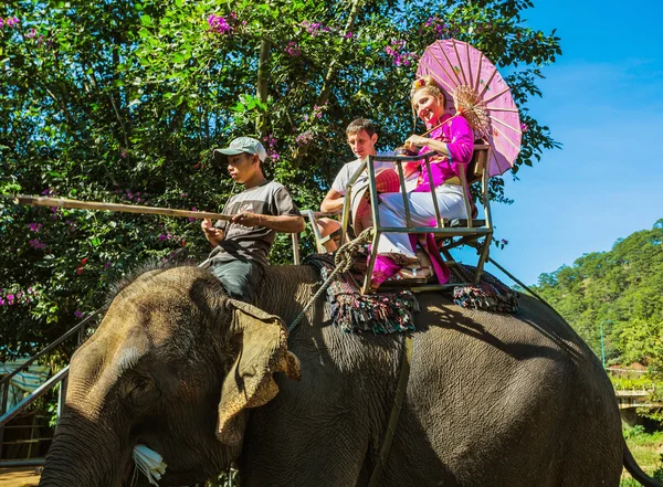 Menschen auf Elefanten reiten — Stockfoto