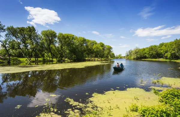 Bir duckweed ile göl — Stok fotoğraf