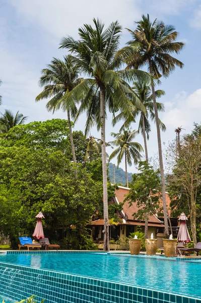 Piscine dans la jungle — Photo