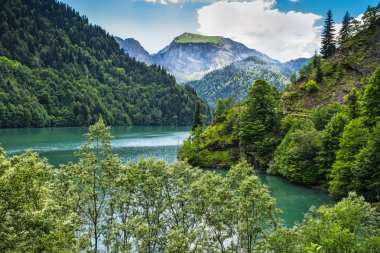 Alpine lake Ritsa in Abkhazia clipart