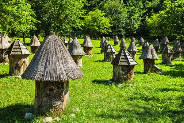Apiary with unusual hives — Stock Photo, Image