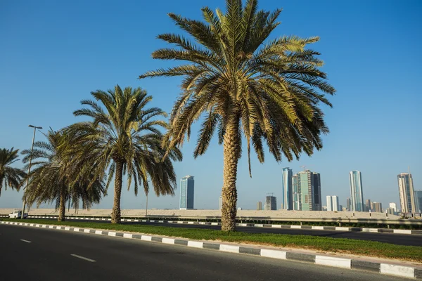 Moderní budovy v sharjah — Stock fotografie