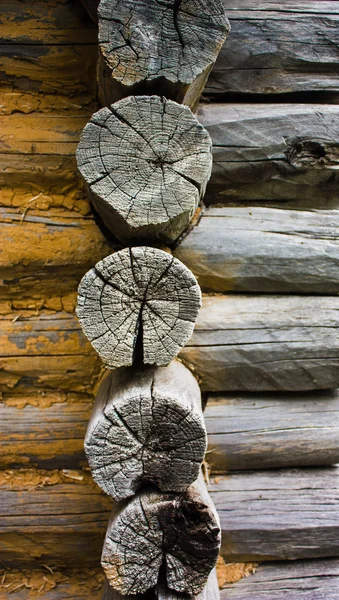 Texturetexture of wood  close up — Stock Photo, Image