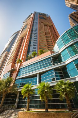 Dubai Yat Limanı gün