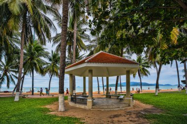 Palmiye ağaçları arasında Konuk evleri