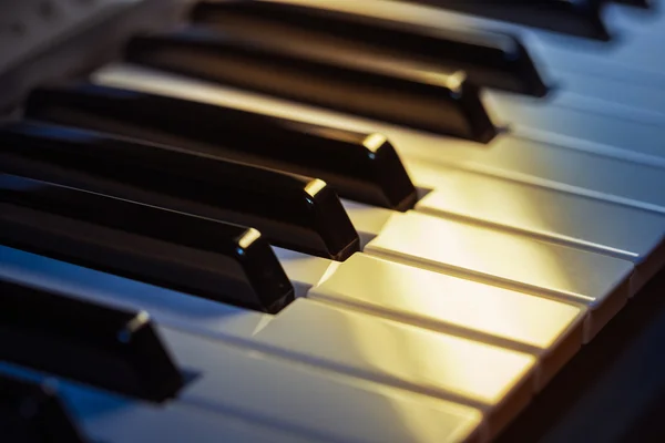 Piano keys close up