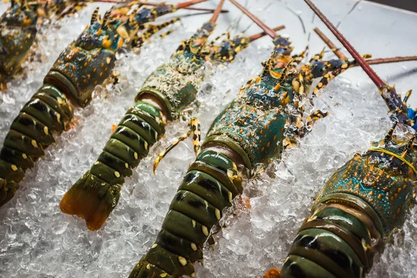 Fresh lobsters on ice — Stock Photo, Image