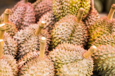 Durians, Tayland ünlü meyve