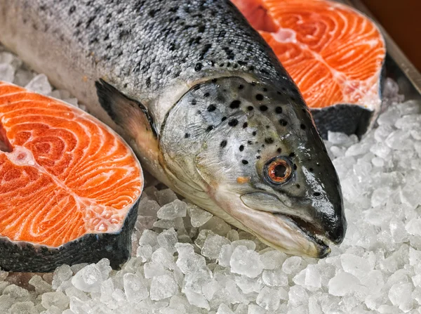 Pesce salmone rosso fresco — Foto Stock