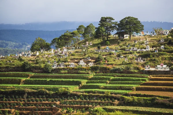 Menschen besuchen Gräber in Vietnam — Stockfoto