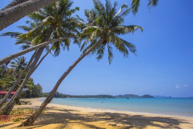 güzel tropikal beach Adası koh chang adlı 