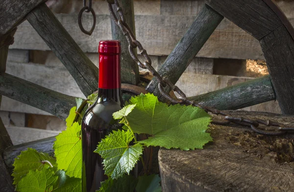 Una bottiglia di vino sullo sfondo della vite — Foto Stock