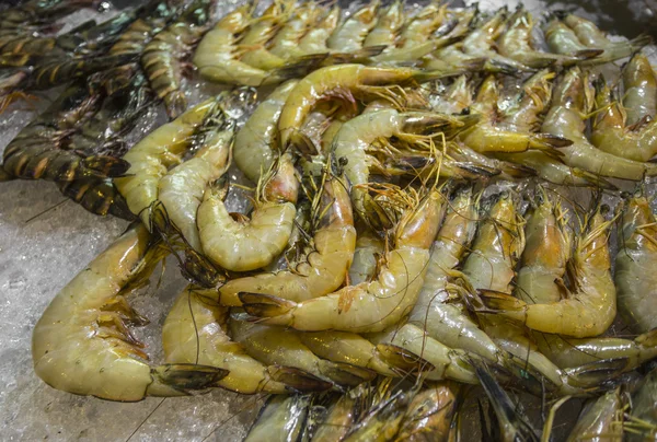 鲜虾在海鲜市场，泰国 — 图库照片