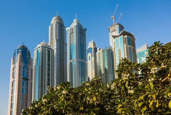 Dubai marina. Spojené arabské emiráty — Stock fotografie